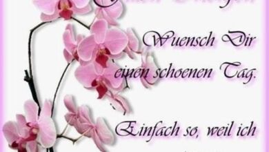ᐅ guten morgen bilder mit sprüchen - Sonntag GB Pics - GBPicsBilder