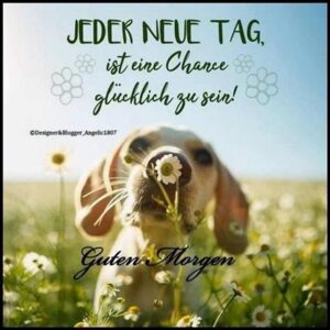 guten morgen bilder neu
