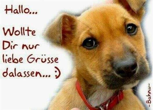ᐅ guten morgen bilder neutral - Guten Morgen GB Pics - GBPicsBilder guten-morgen-bilder-neutral_8