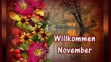 ᐅ guten morgen bilder november - Begrusung GB Pics - GBPicsBilder