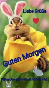 guten morgen bilder ostern