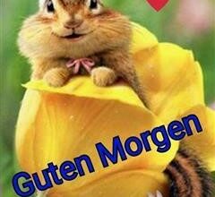 ᐅ guten morgen bilder ostern - Guten Morgen GB Pics - GBPicsBilder