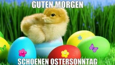 ᐅ guten morgen bilder ostersonntag - Guten Morgen GB Pics - GBPicsBilder