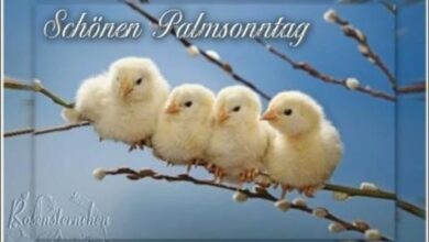 ᐅ guten morgen bilder palmsonntag - Guten Morgen GB Pics - GBPicsBilder