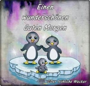 guten morgen bilder pinguin
