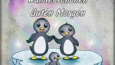 ᐅ guten morgen bilder pinguin - Guten Morgen GB Pics - GBPicsBilder