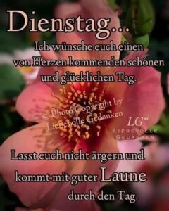 guten morgen bilder rosa
