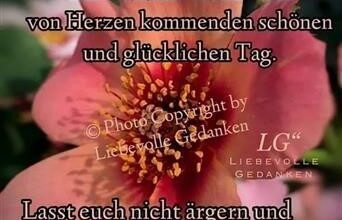 ᐅ guten morgen bilder rosa - Guten Morgen GB Pics - GBPicsBilder