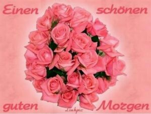 guten morgen bilder rosen
