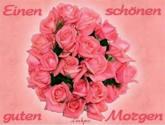 guten bilder rosen Gb Bilder • GB Pics Gästebuchbilder