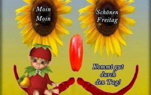 guten morgen bilder runterladen kostenlos