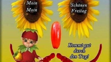 ᐅ guten morgen bilder runterladen kostenlos - Guten Morgen GB Pics - GBPicsBilder