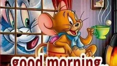 ᐅ guten morgen bilder tom und jerry - Gute Nacht GB Pics - GBPicsBilder