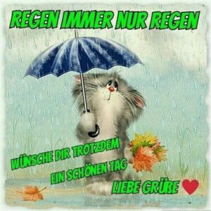 guten morgen bilder trotz regen