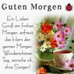 guten morgen bilder und einen schönen tag