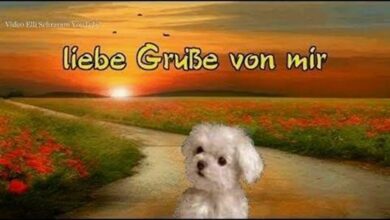 ᐅ guten morgen bilder videos - Guten Morgen GB Pics - GBPicsBilder