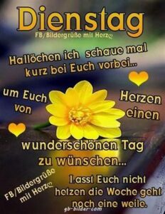 guten morgen bilder von dienstag