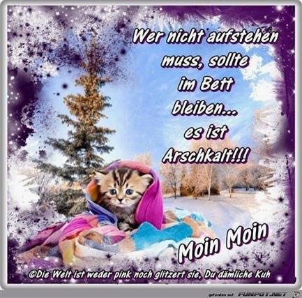 Guten Morgen Bilder Winter Kostenlos Gb Bilder Gb Pics Gastebuchbilder