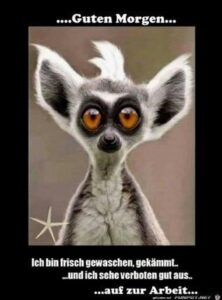 guten morgen bilder witzig
