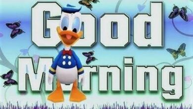ᐅ guten morgen bilder wochenanfang - Guten Morgen GB Pics - GBPicsBilder