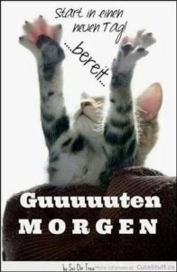 guten morgen bilder zum verschicken