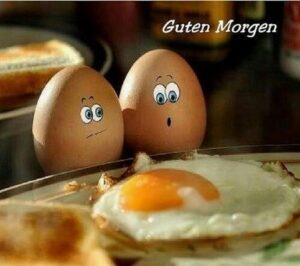 guten morgen eier bilder