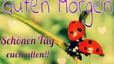 ᐅ guten morgen euch bilder - Guten Morgen GB Pics - GBPicsBilder