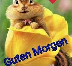 ᐅ guten morgen frohe ostern bilder - Dienstag GB Pics - GBPicsBilder