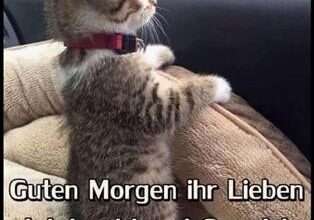 Lustige Guten Morgen Spruche Fur Facebook Guten Morgen Lustig Guten Morgen Gruss