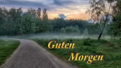 ᐅ guten morgen nebel bilder - Guten Morgen GB Pics - GBPicsBilder