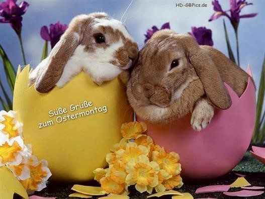 Bilder ostermontag grüße zum Grüße zum