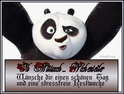 guten-morgen-panda-bilder_17