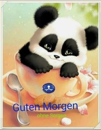 guten-morgen-panda-bilder_4