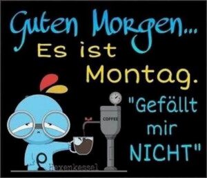 guten morgen regen bilder kostenlos