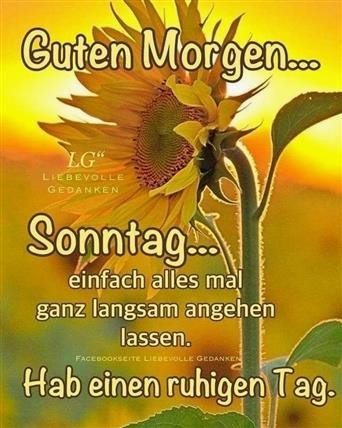 Guten Morgen Schonen Sonnigen Sonntag