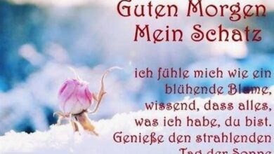 ᐅ guten morgen schatz bilder zum versenden - Guten Morgen GB Pics - GBPicsBilder