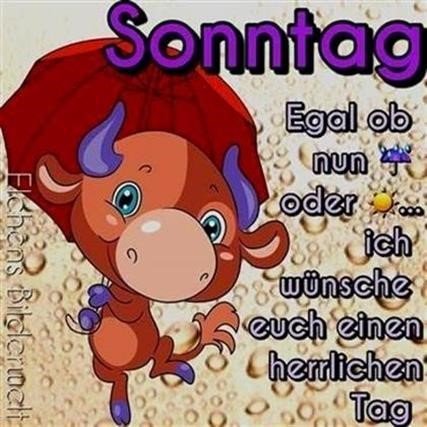 Sonntag Guten Morgen Lustig Guten Morgen Sonntag Guten Morgen