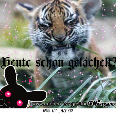 guten-morgen-tiger-bilder_9