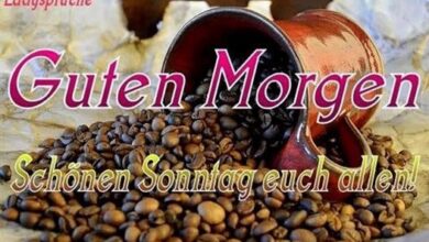 ᐅ guten morgen und schönen sonntag bilder - Sonntag GB Pics - GBPicsBilder