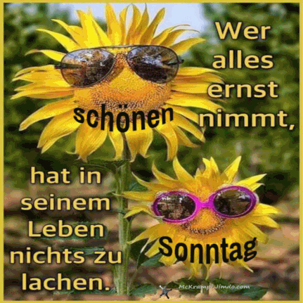 ᐅ lustige bilder zum sonntag kostenlos - Sonntag GB Pics - GBPicsBilder