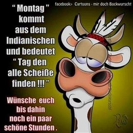 Lustige Hundebilder Guten Morgen