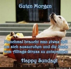 lustige bilder zum sonntag