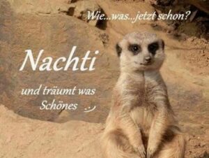 lustige gute nacht bilder und sprüche