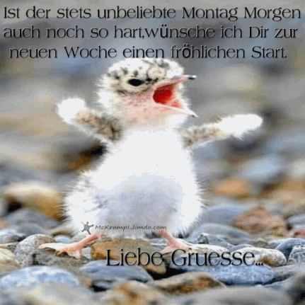 Montag Whatsapp Und Facebook Gb Bilder Gb Pics Montagsgruss