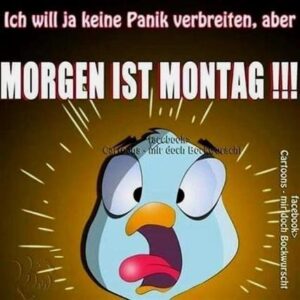montag früh bilder