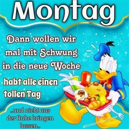 montag-geschafft-bilder_15