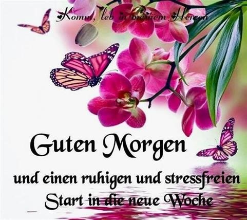 montag-wochenstart-bilder_15