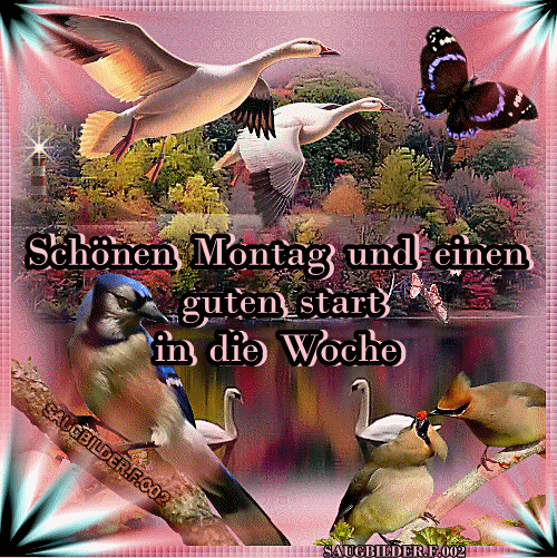 ᐅ montag wochenstart bilder - Montag GB Pics - GBPicsBilder