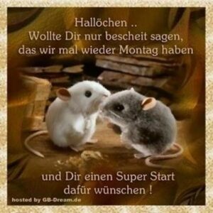 montagsgruß bilder
