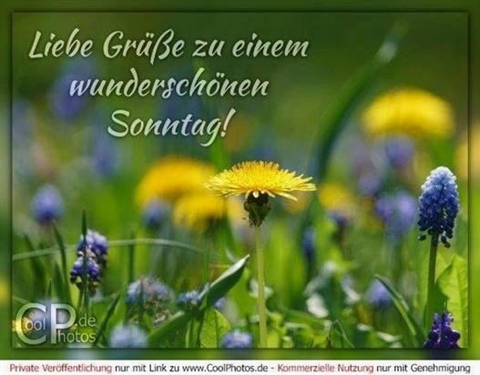 Sonntags Grusse Facebook Bilder Gb Bilder Whatsapp Bilder Gb Pics